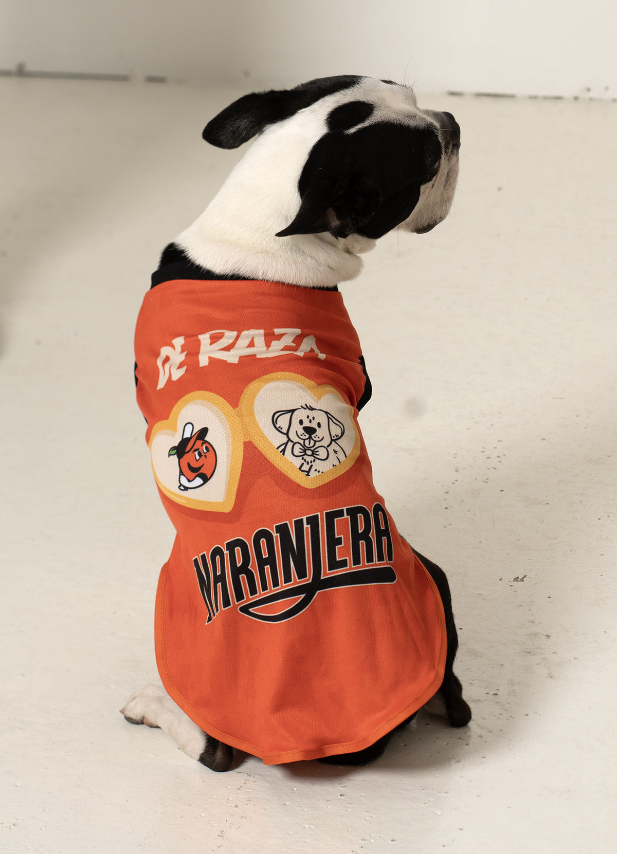 PLAYERA MASCOTA MI HUMANO