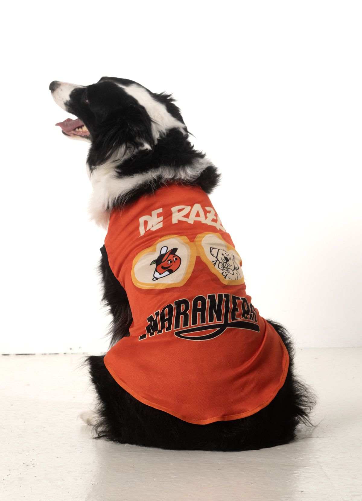 PLAYERA MASCOTA MI HUMANO