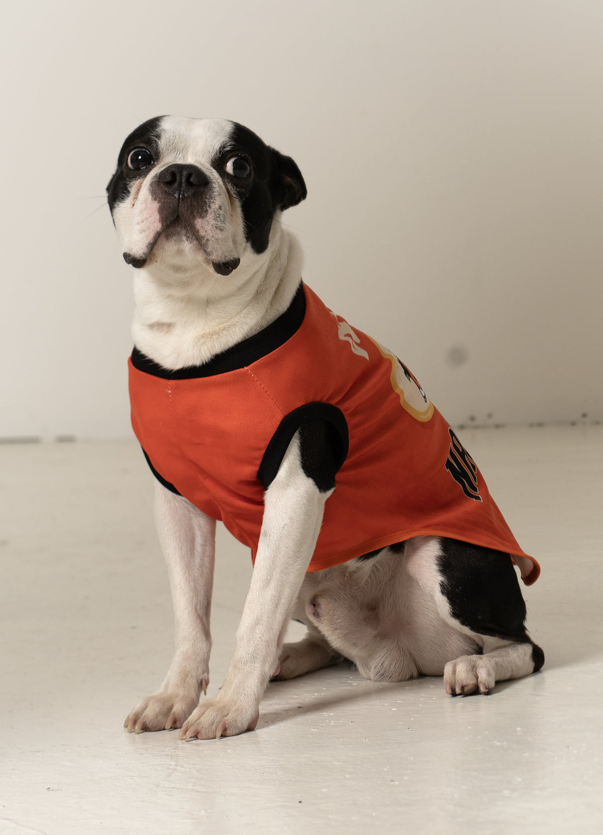 PLAYERA MASCOTA MI HUMANO